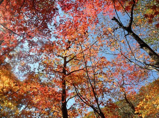 : Ƹٿ   ϴ  ǳ ^^ (Korea National Park) ְ ǳ  ñ⿡   ֵ ǻ    18  ǳ ñ ǳ   ǥ Ž 75 õ߽ϴ. ǳ ñ  κа Ʒκ 10 ̻ ̰ ٰ ϴµ,  ߽ ϸ Žθ ϸ  ǳ̿ ̸   ִٰ ϳ׿~ڼ Ž  (02-3279-2700) Ȩ http://j.mp/PbwLYP  Ȯּ.<: ŸŽ ǳ>